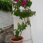 度假居 Fotis House