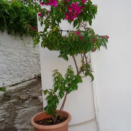 בית נופש Fotis House