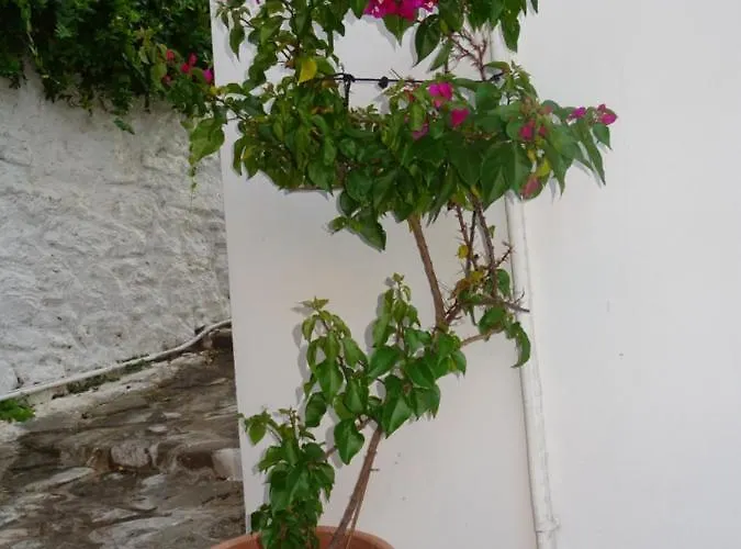 Vakantiehuis Fotis House